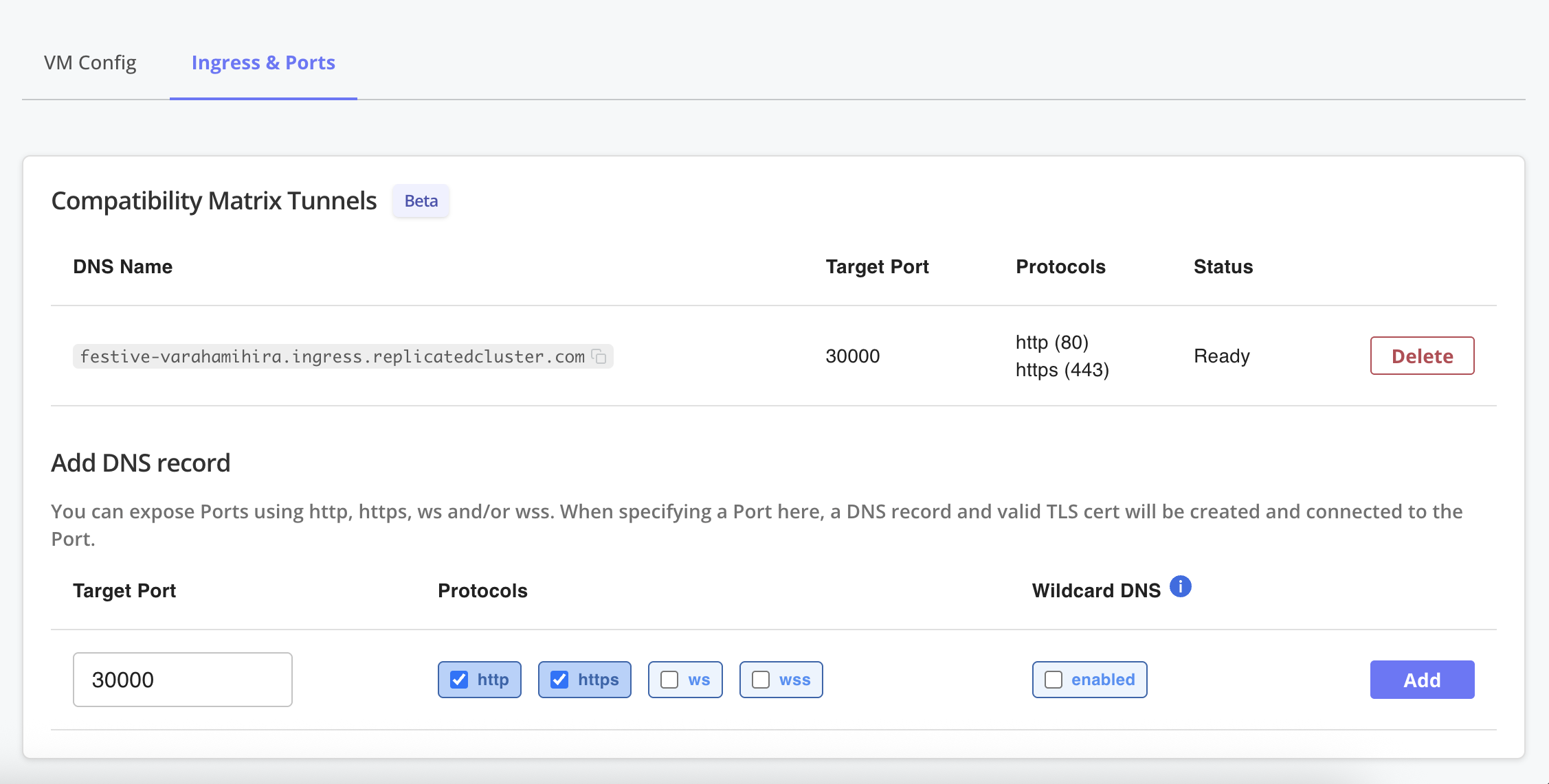 DNS record for a VM